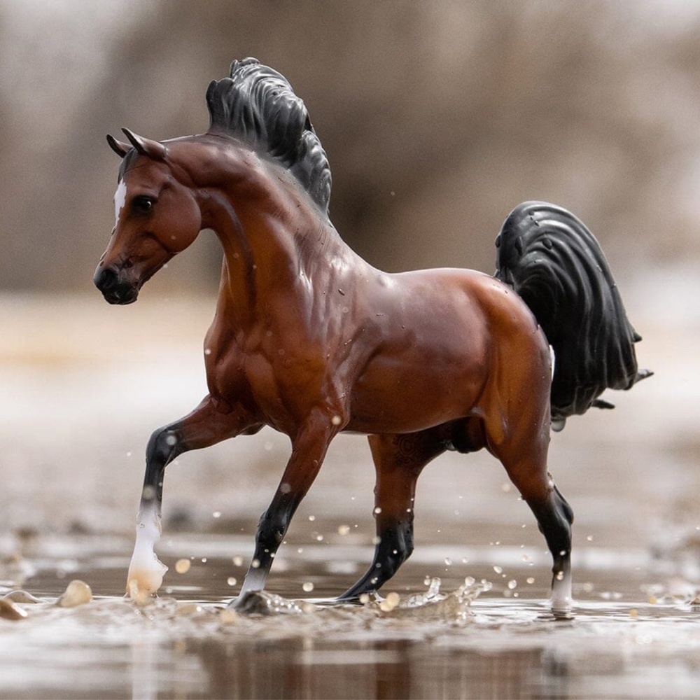 Breyer bay Arabian